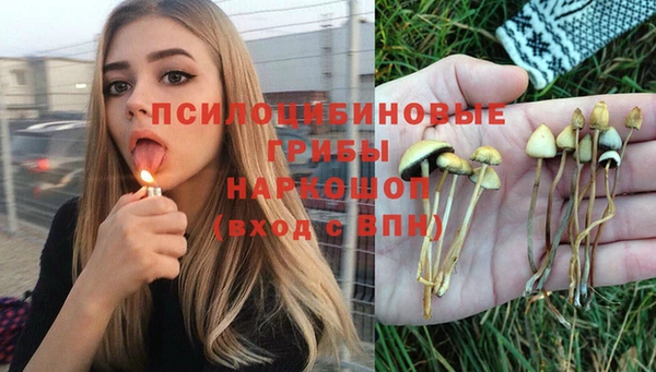шишки Покровск