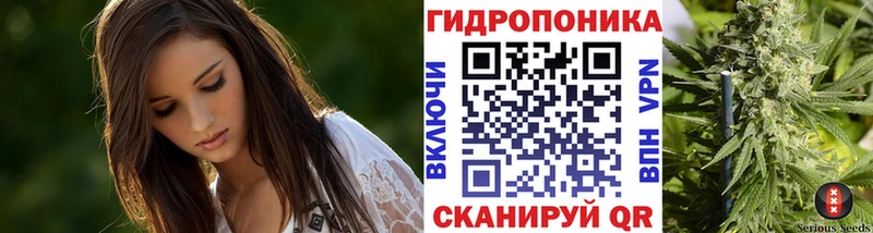 Каннабис сатива Кяхта